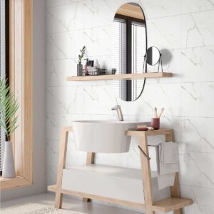 CERAMICA GIANEI PLUS HR 31X60
