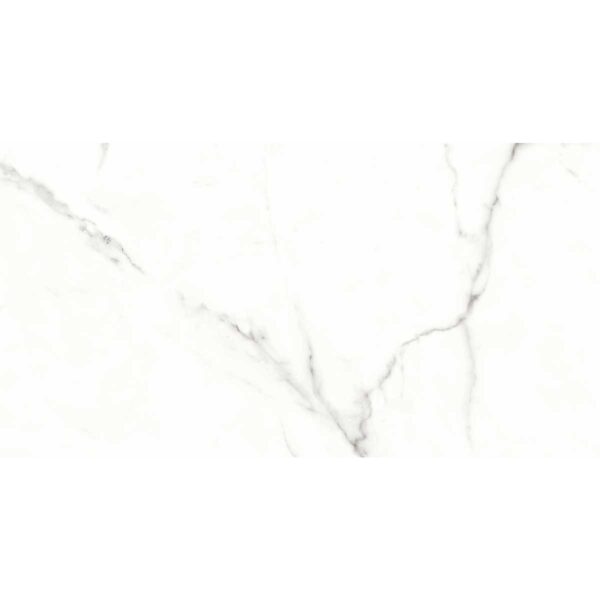 CERAMICA GIANEI PLUS HR 31X60 - Imagen 2