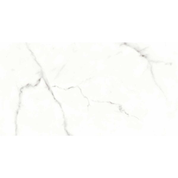 CERAMICA GIANEI PLUS HR 31X60 - Imagen 3