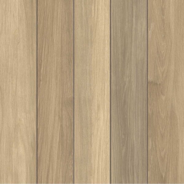 CERAMICA ANGELINA PLUS HD 60X60 - Imagen 3